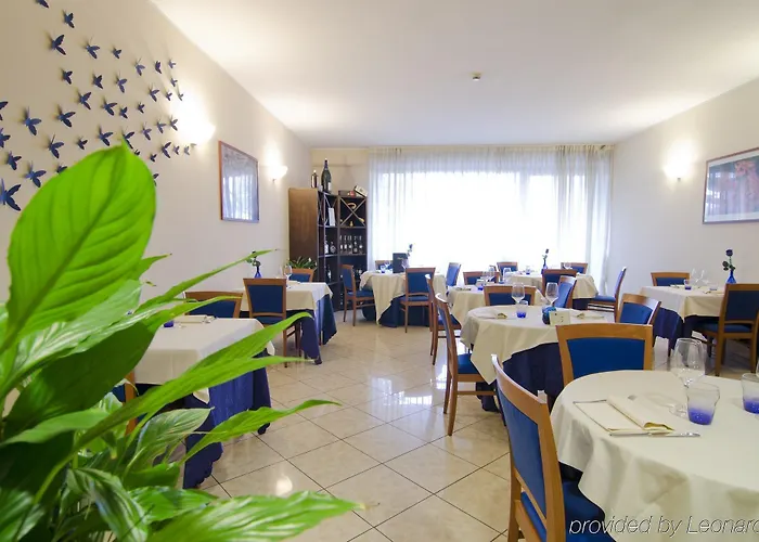 Blu - Sure Collection By Western